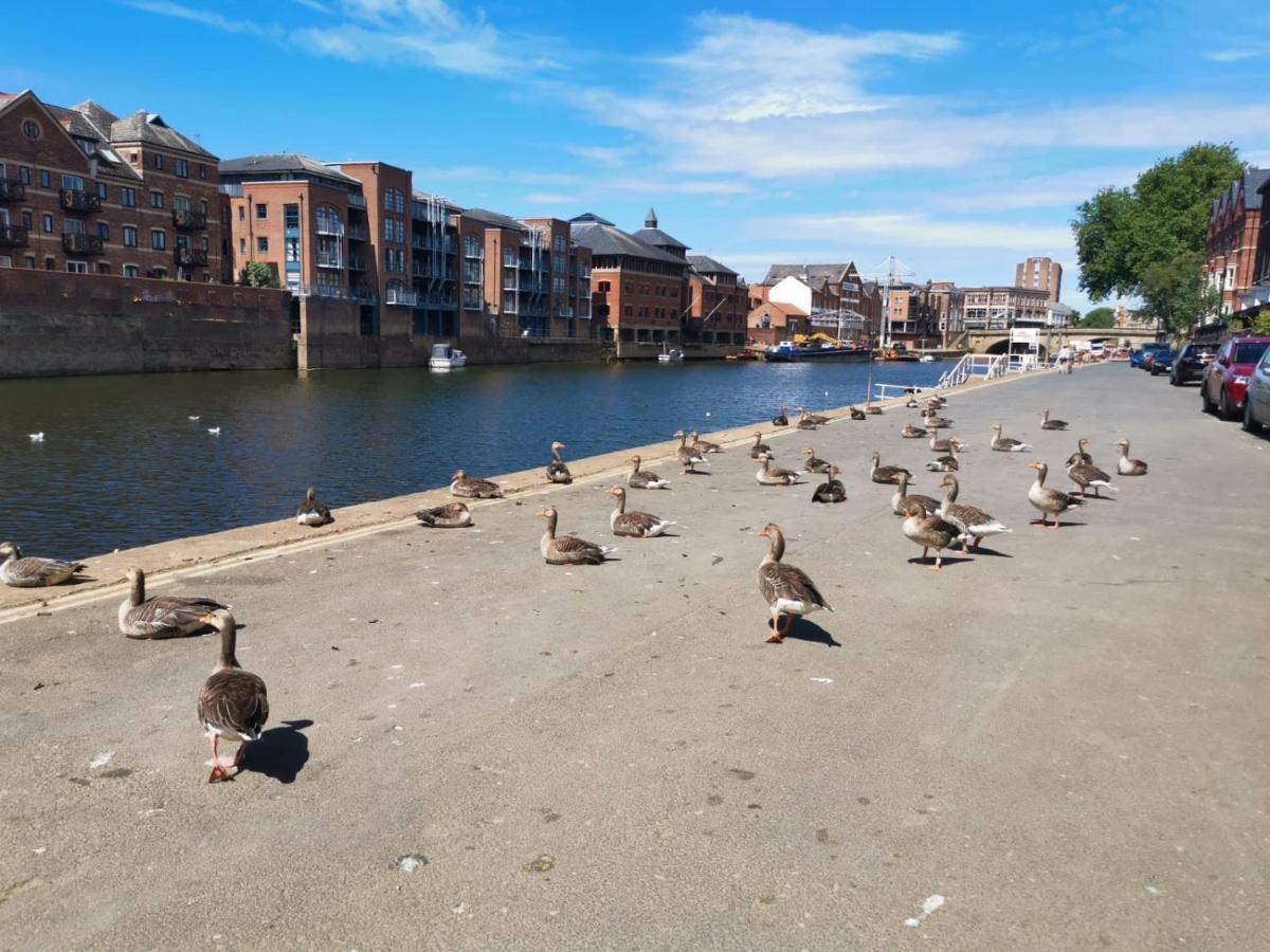 Hartoft St - 2 Bed Near River York Kültér fotó